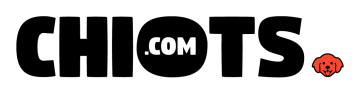 Chiot.com